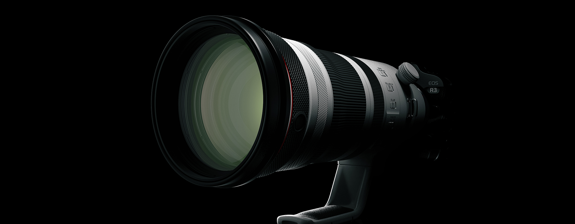 Canon RF100-300mm f/2.8L IS USM